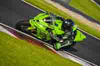 Evening Adv_Mid Group Green Bikes